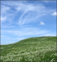 The Beauty of Creation