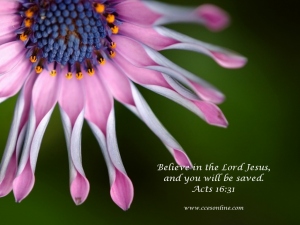 Christian Wallpaper - Pink Flower and Scripture