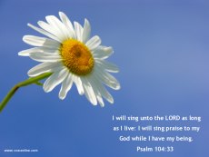 Christian Wallpaper - Spring Image