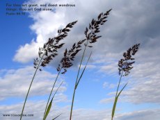 Christian wallpaper for May