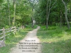 Christian Wallpaper - Psalms
