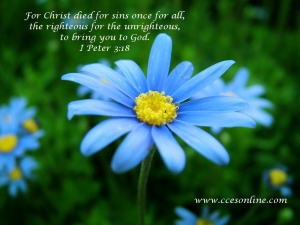 Christian Wallpaper - Blue Flower
