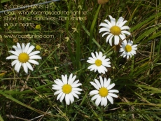 Christian Wallpaper