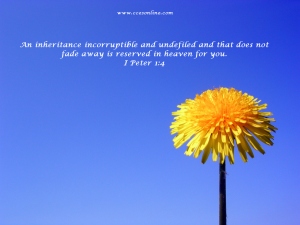 Christian Wallpaper - Flower