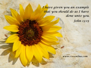 Christian Wallpaper - Flower and Scripture