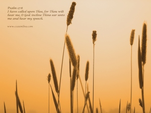 Wallpaper from Christian Counseling & Educational Services