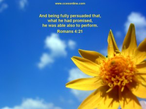 Christian Wallpaper with Yellow Flower Image and Scripture